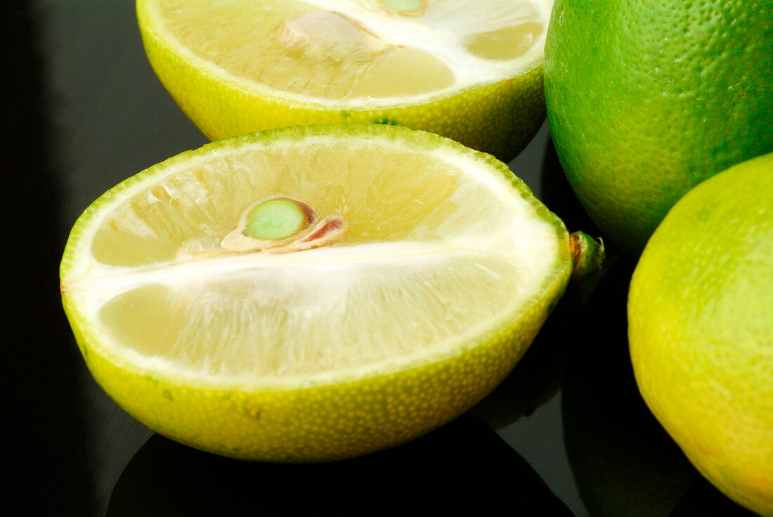 Limequats