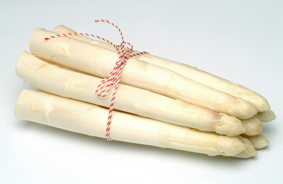 White asparagus
