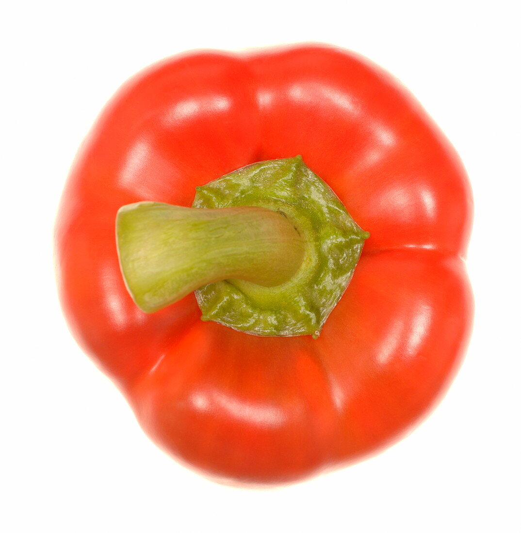 Red pepper with green stalk