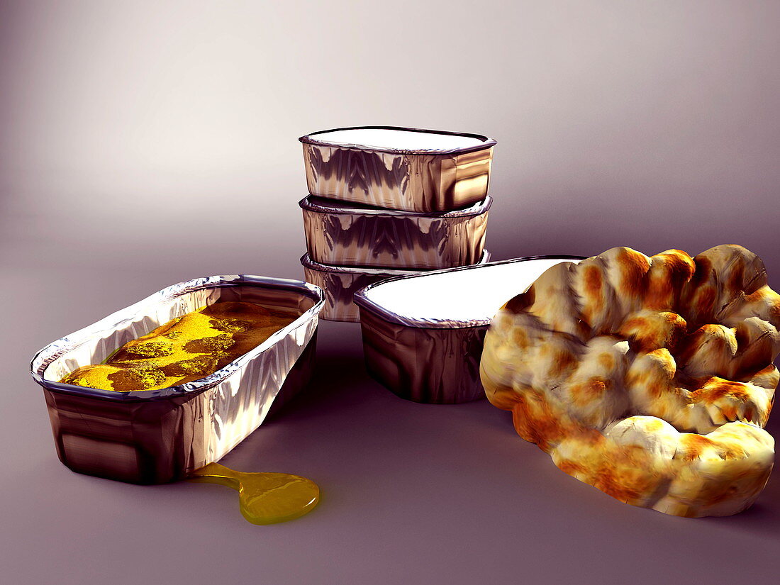Indian take-away food,artwork