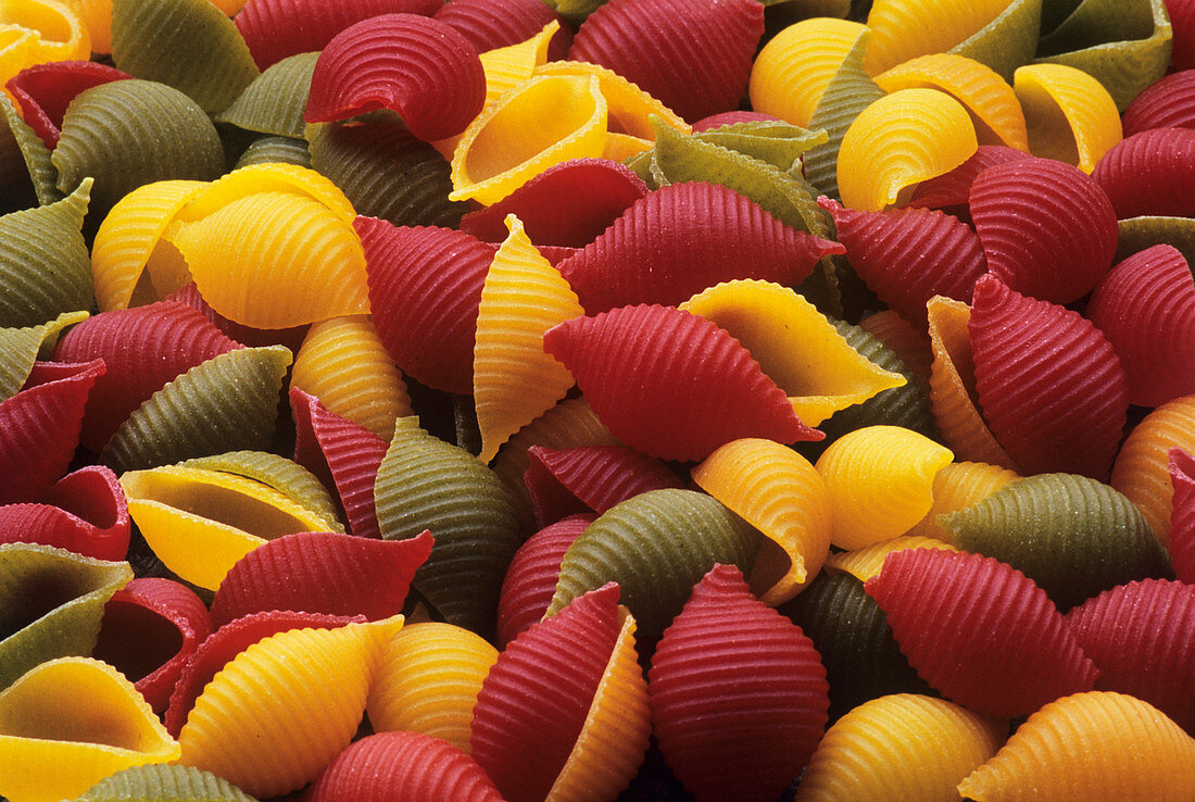 Colourful pasta shells