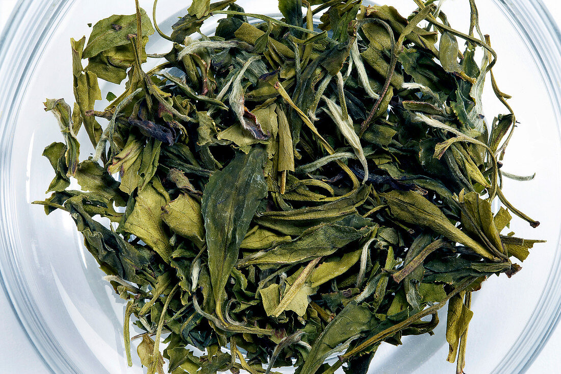 Bai Mu Dan tea