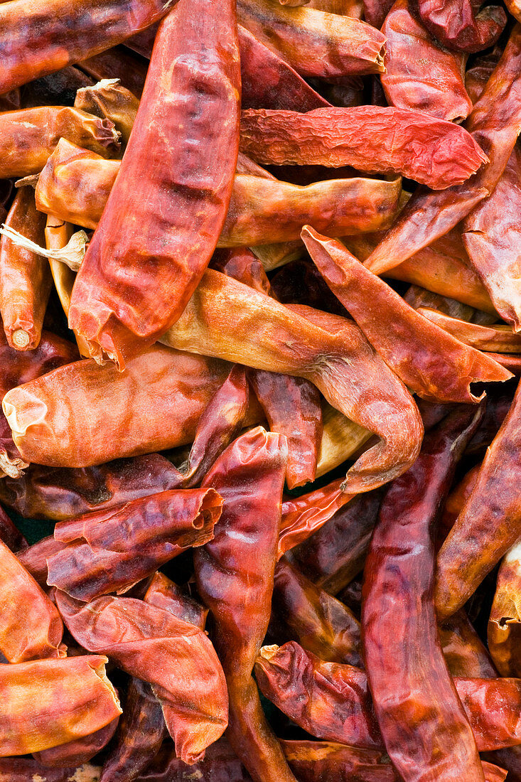 Dried red chilli peppers