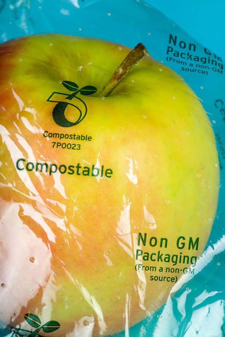 Biodegradable food packaging