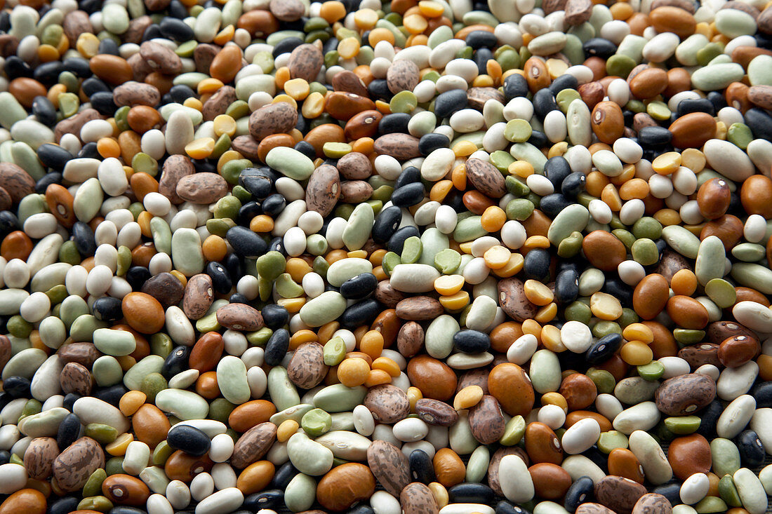 Dried pulses