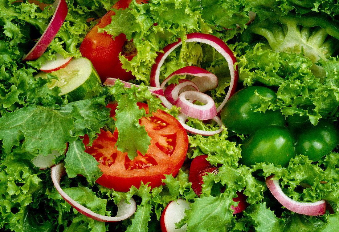 Chicory salad