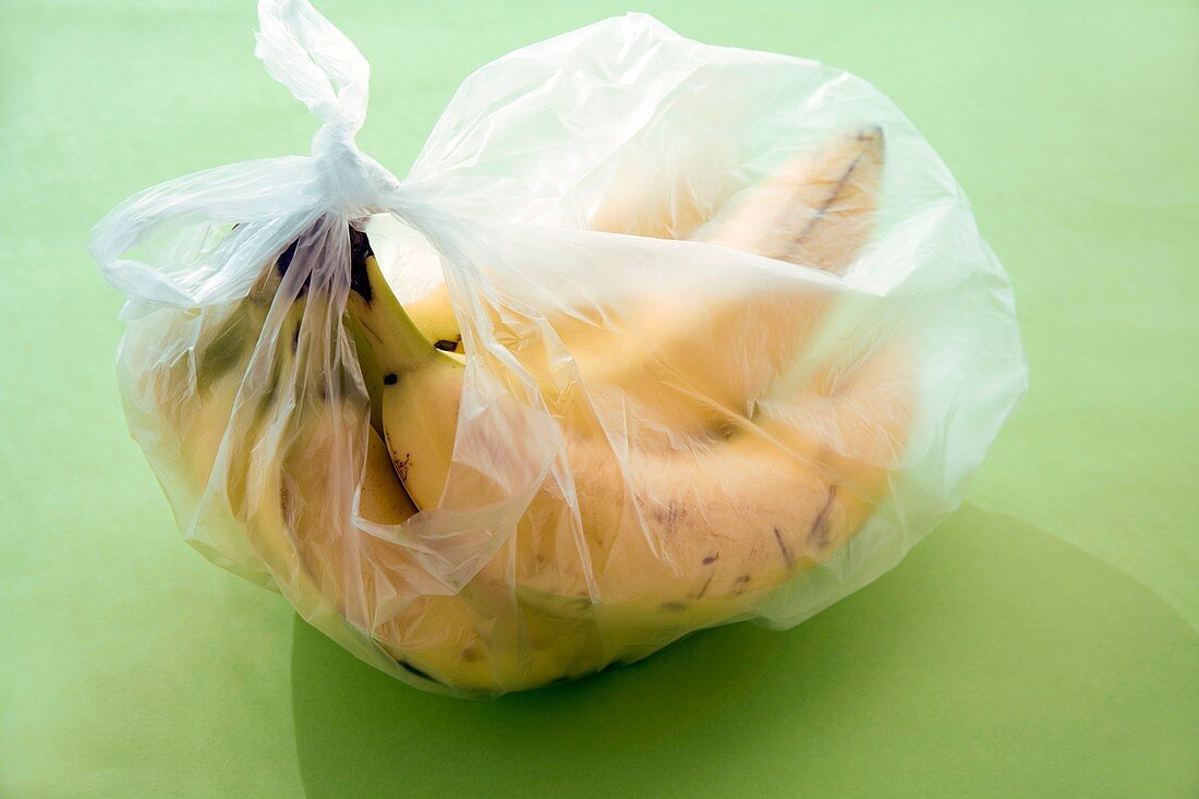 Bananas in a plastic food bag