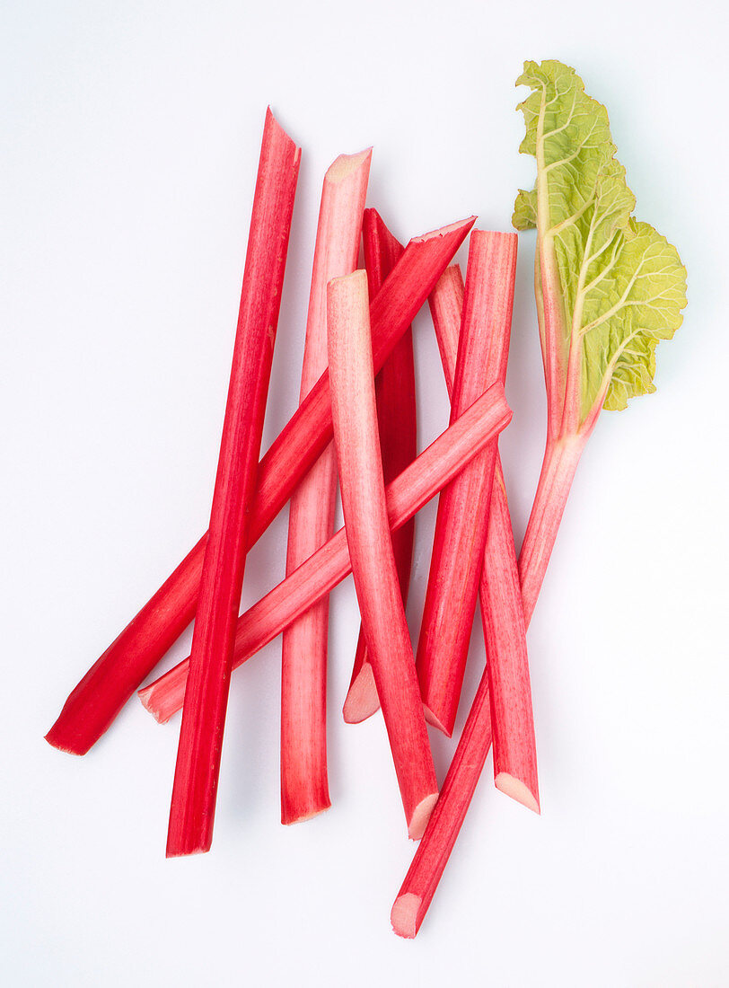 Rhubarb