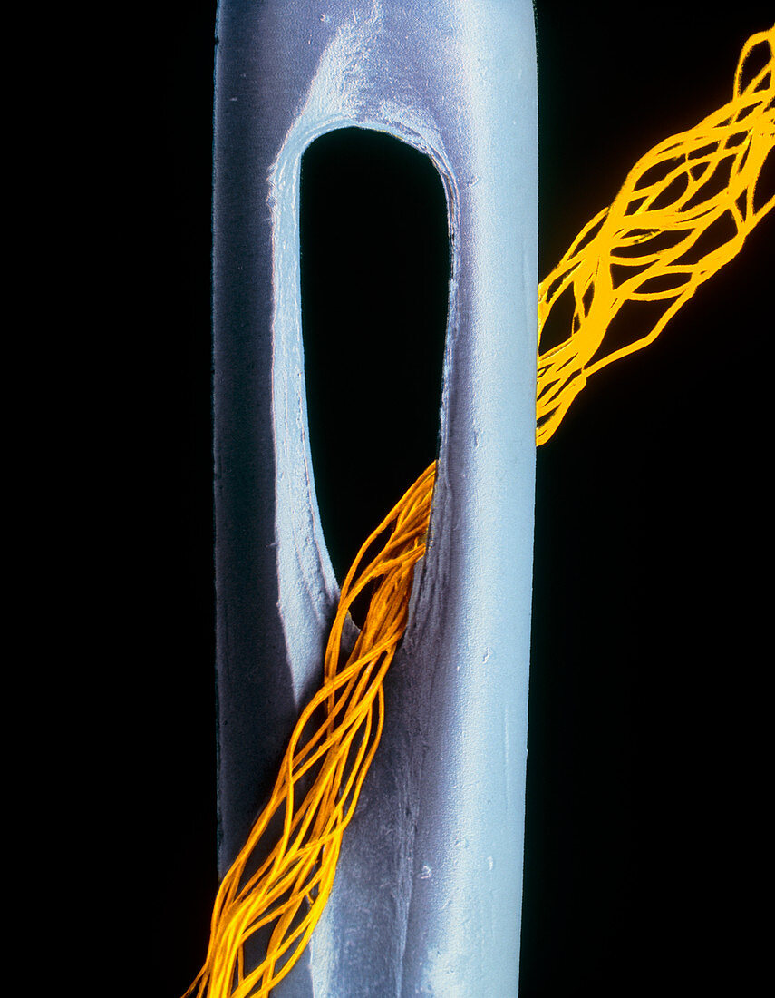 Tactel MicroFibre threaded through needle,SEM