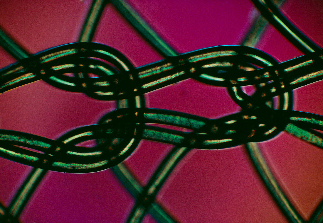 Light micrograph of the weave of a nylon stocking