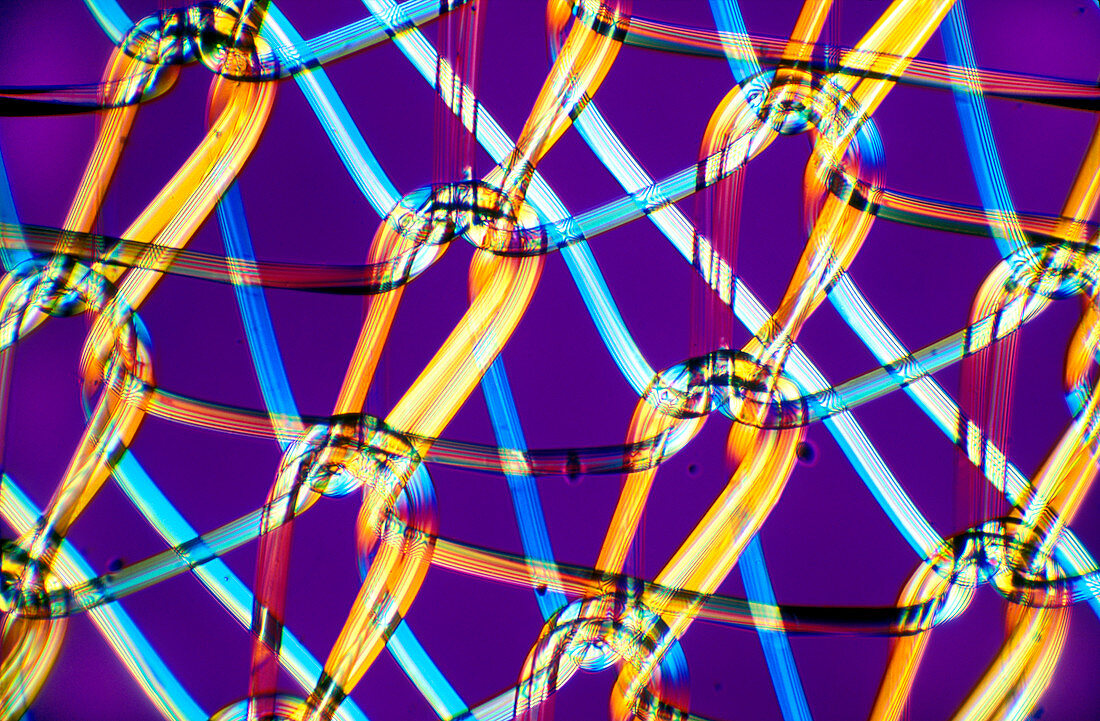 Net curtain,light micrograph