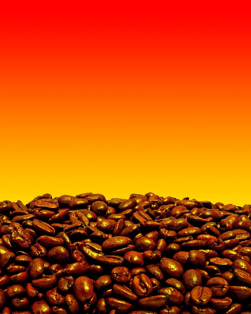 Coffee beans