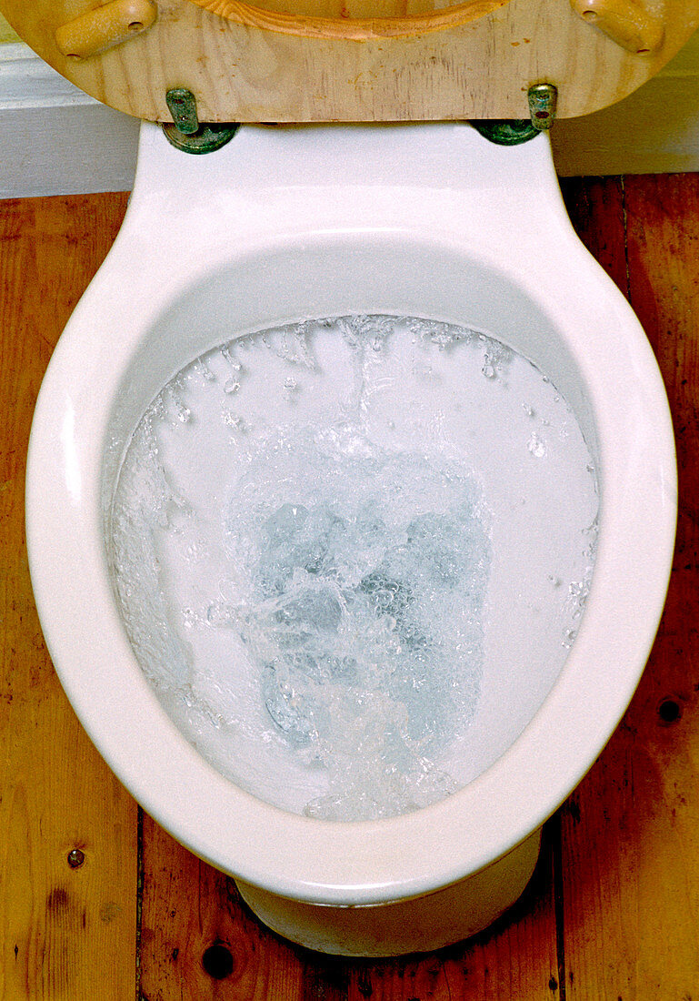 Toilet being flushed