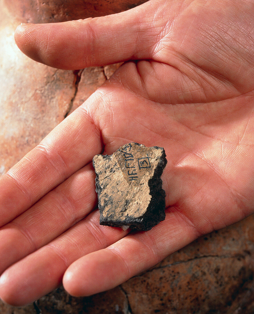 Residues of ancient wine on a pottery fragment