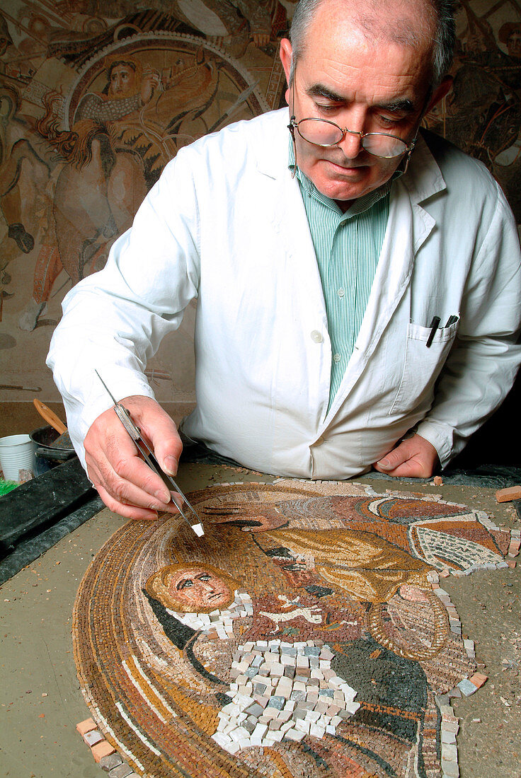 Battle of Issus mosaic reconstruction