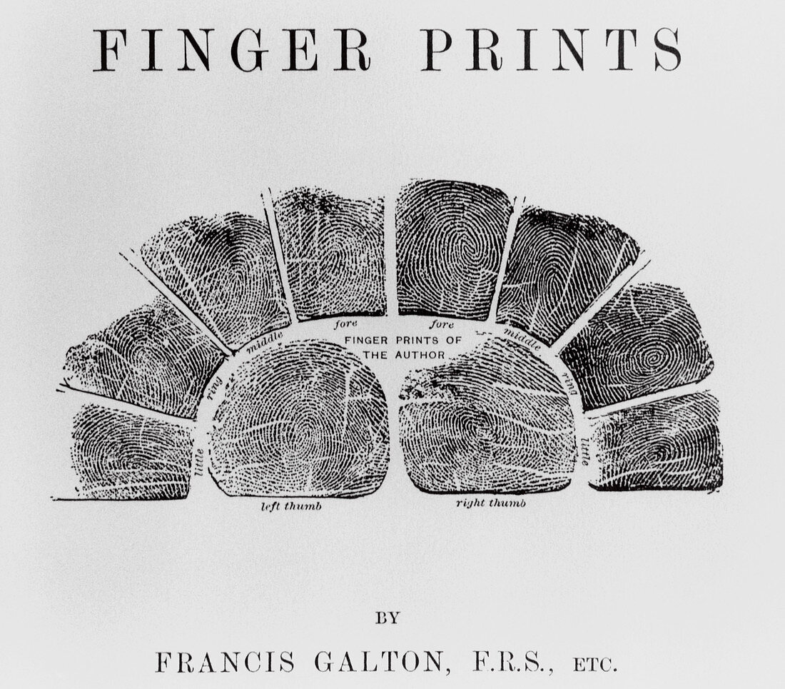 Early fingerprinting