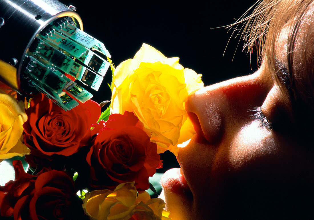 Human and electronic NOSE smelling roses