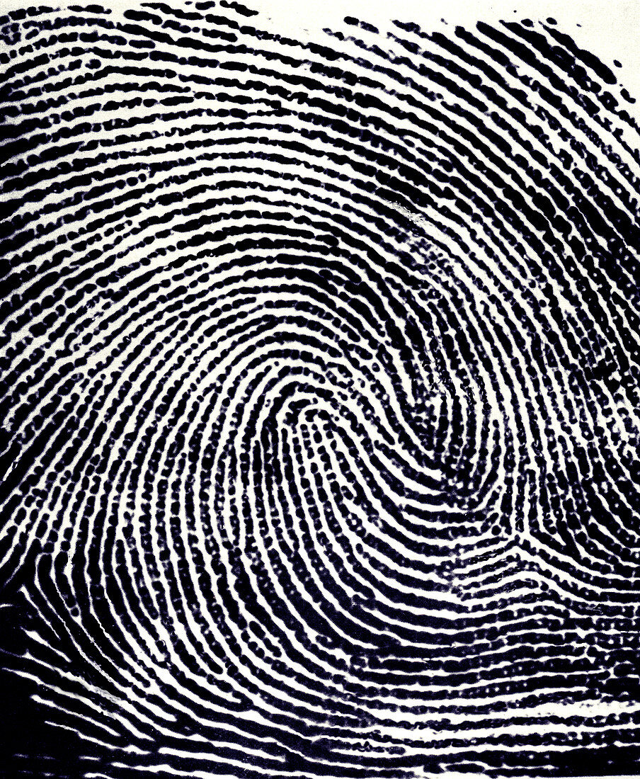 Enlarged fingerprint