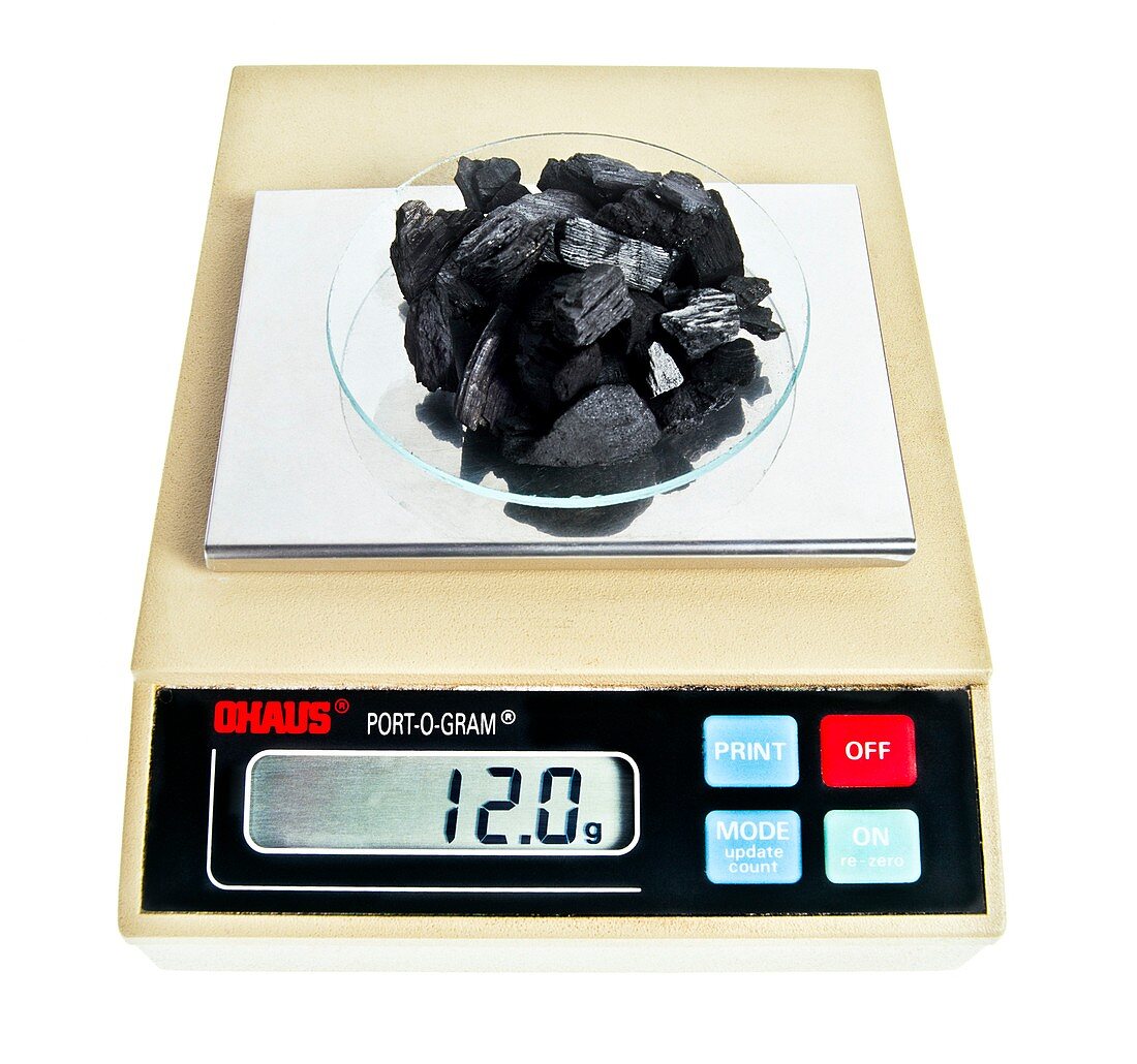 Digital scales