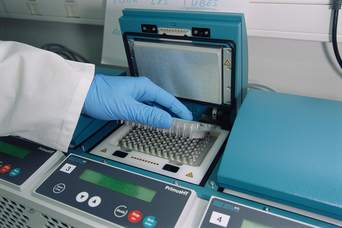 Thermocycler for forensic DNA analysis