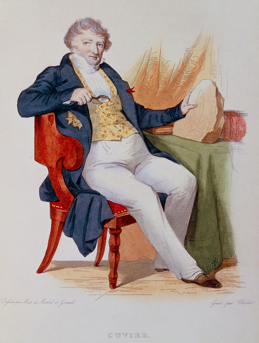 Georges Cuvier,after an engraving of 1830