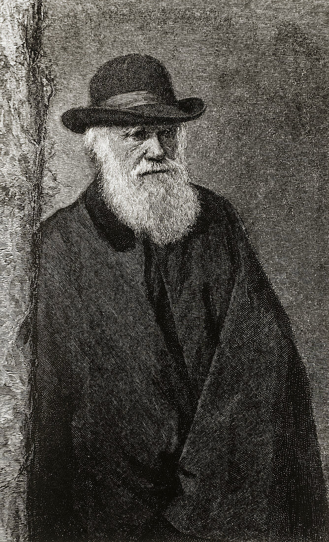 Charles Darwin,English naturalist,1809-1882