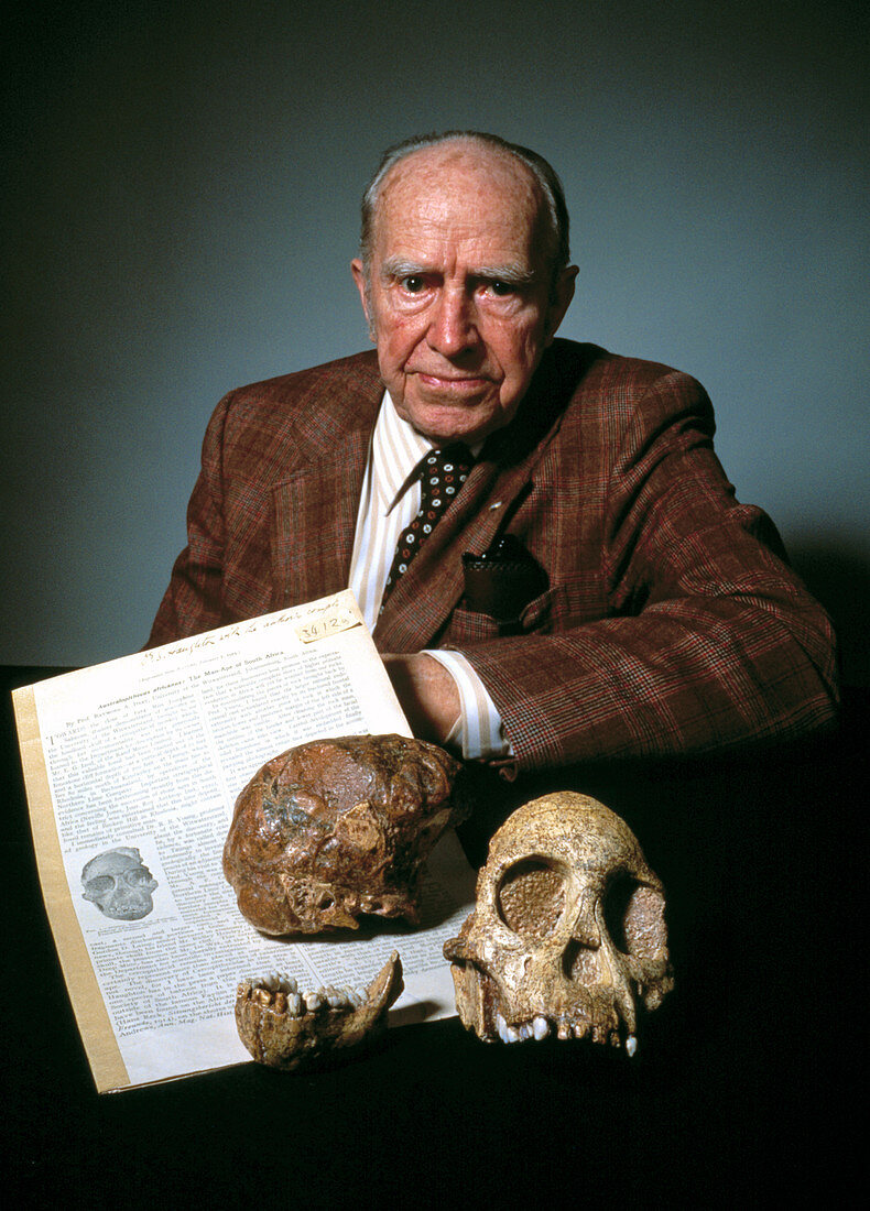 Prof. Raymond Arthur Dart & Tuang specimen