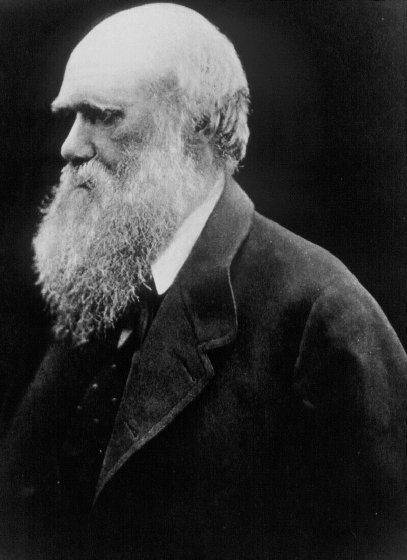 Charles Darwin as an old man