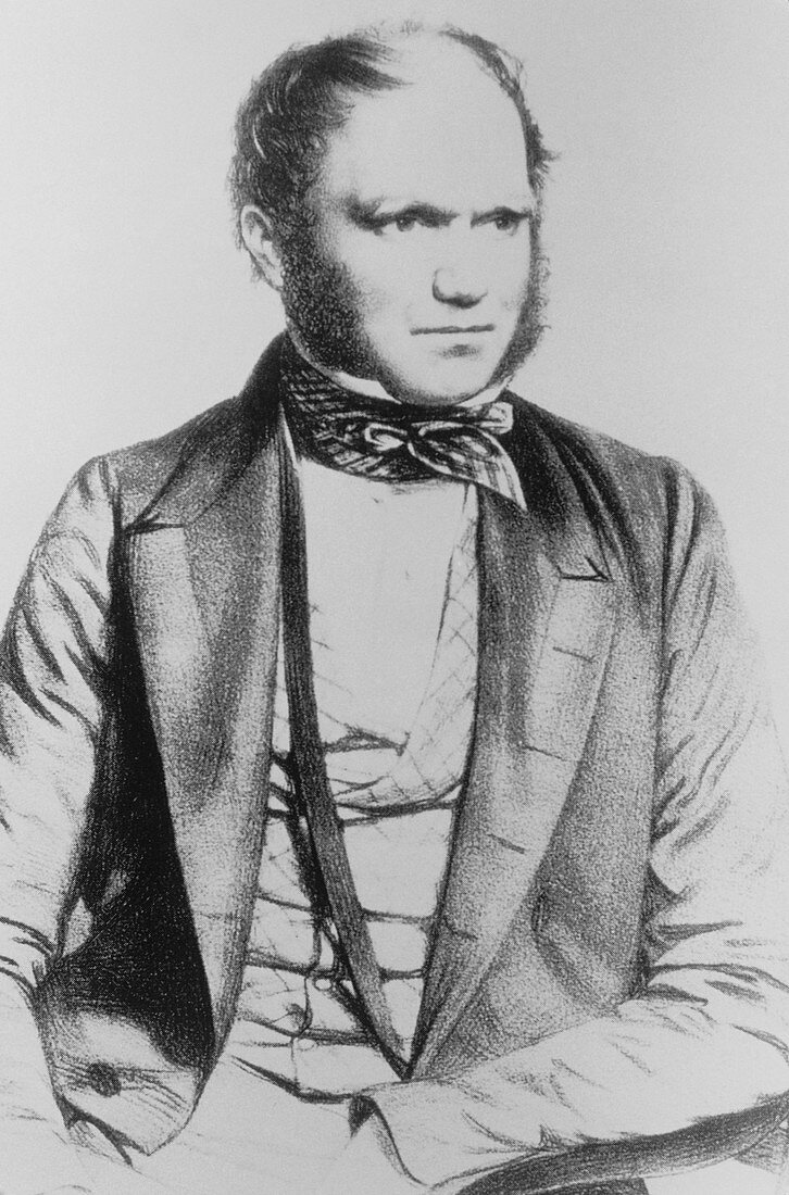 Portrait of the English naturalist C. R. Darwin