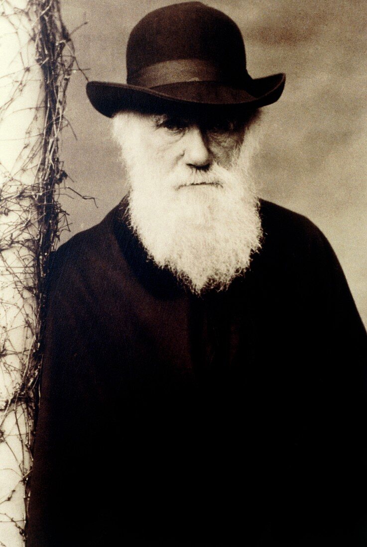 Portrait of Charles Darwin,British naturalist