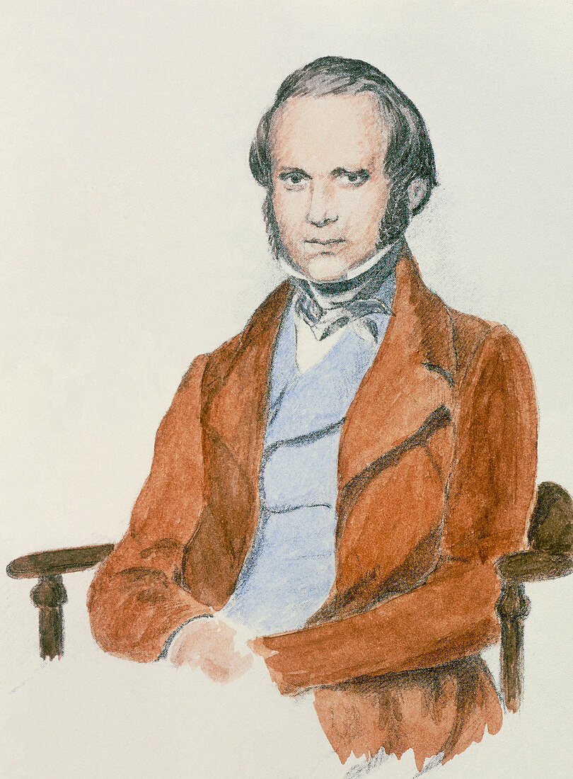 Portrait of Charles Darwin,British naturalist
