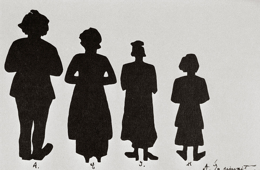 Einstein family silhouettes