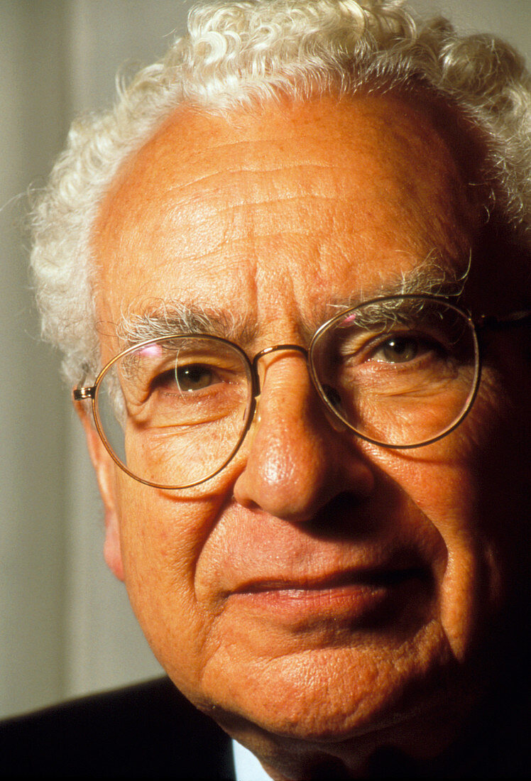 Murray Gell-Mann theoretical physicist