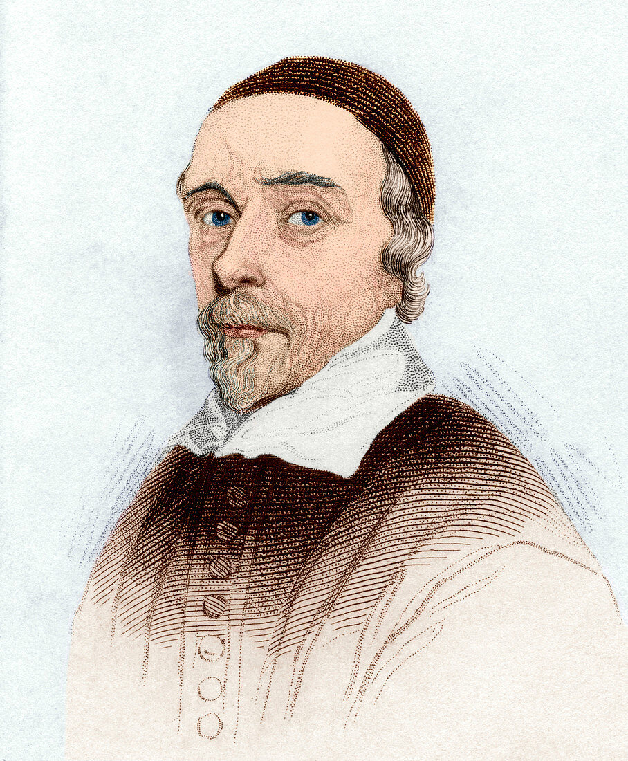 William Harvey,English doctor