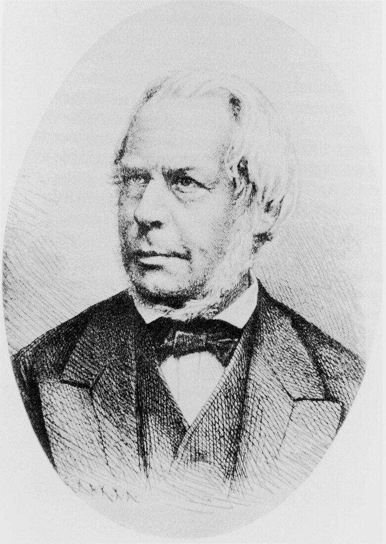 Friedrich Henle,German anatomist