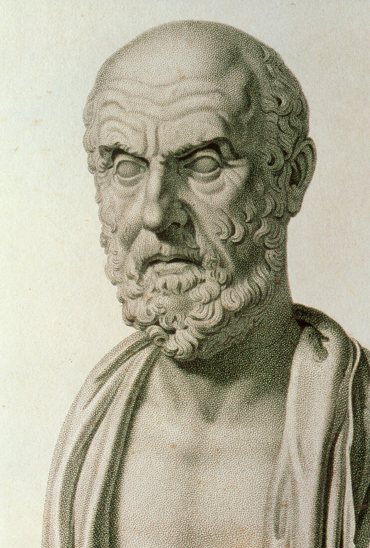 Engraving of Classical Greek bust of Hippocrates