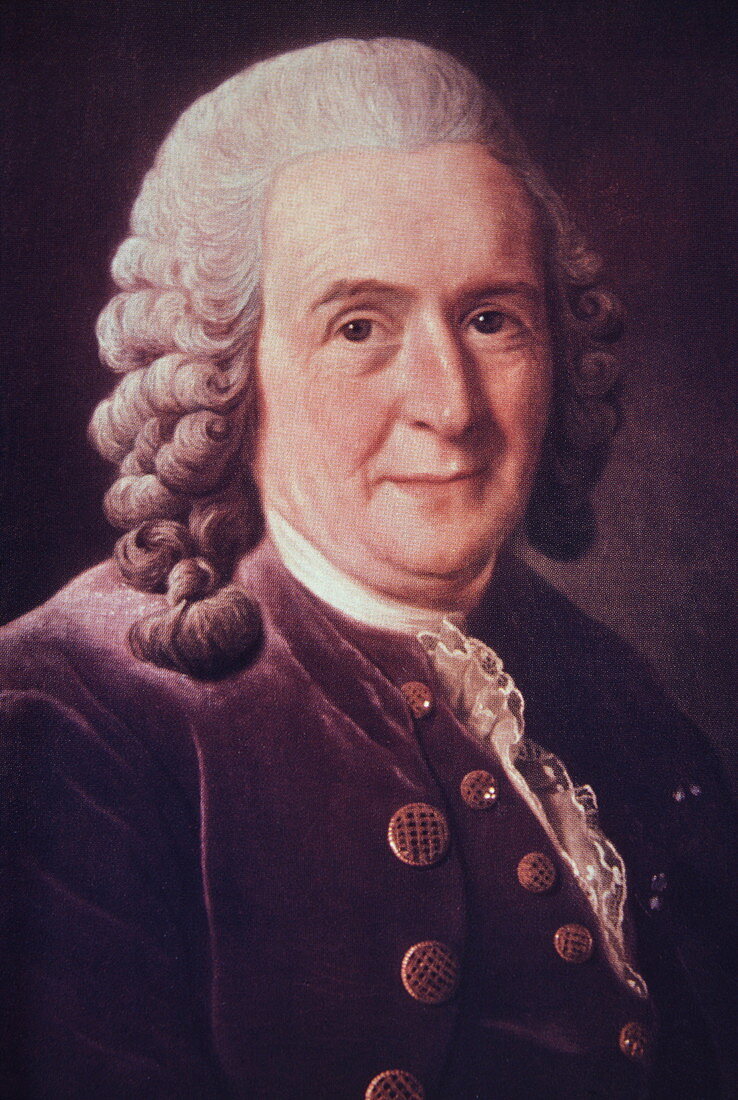 Portrait of Carl Linnaeus,1707-1778