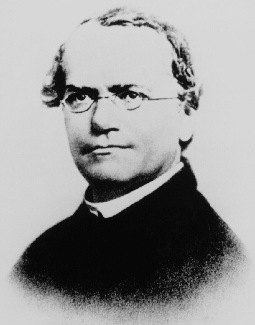 Photograph of Gregor Mendel,Austrian botanist