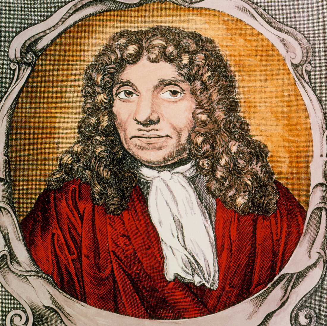 Antoni van Leeuwenhoek Dutch microscopist