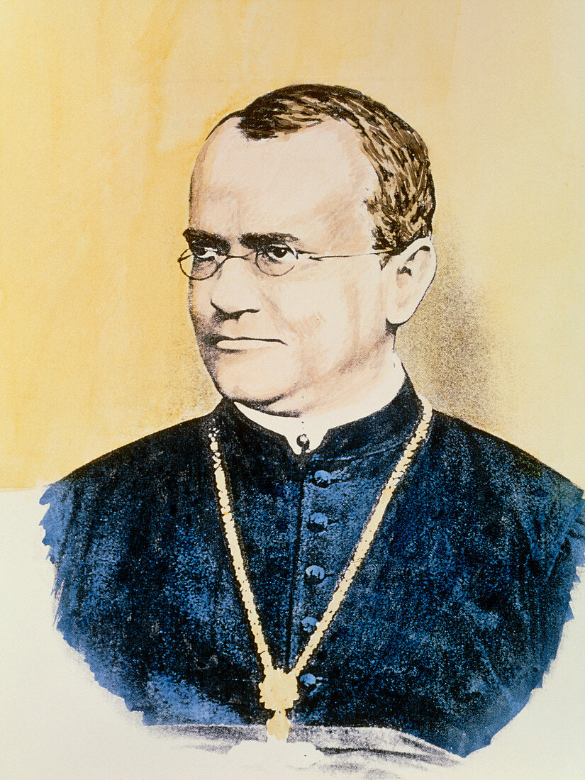 Portrait of Gregor Mendel,Austrian botanist