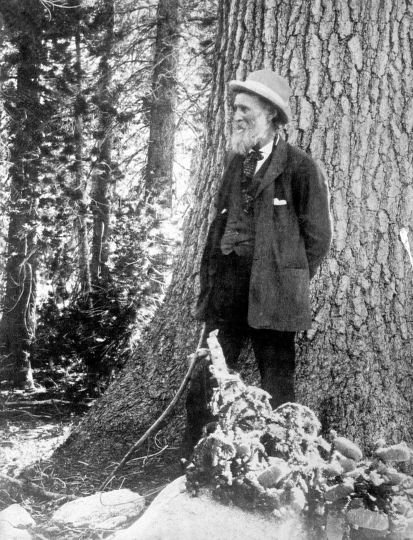 John Muir,US naturalist and geologist