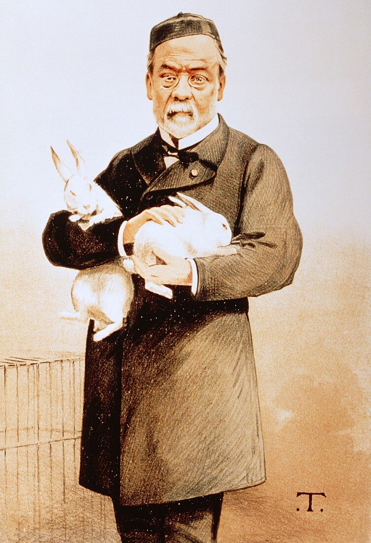 Portrait of the French chemist Louis Pasteur