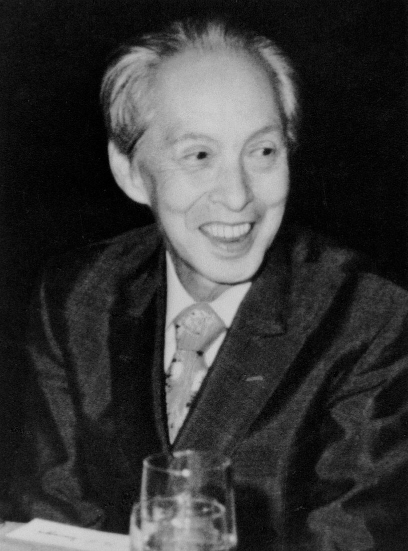 Sin-Itiro Tomonaga seen in Tokyo 1978