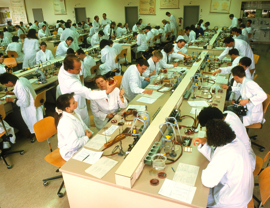 University medical students in microbiology lesson