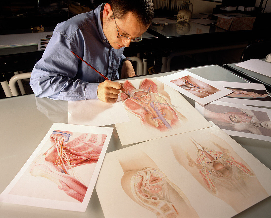 Anatomical drawing school
