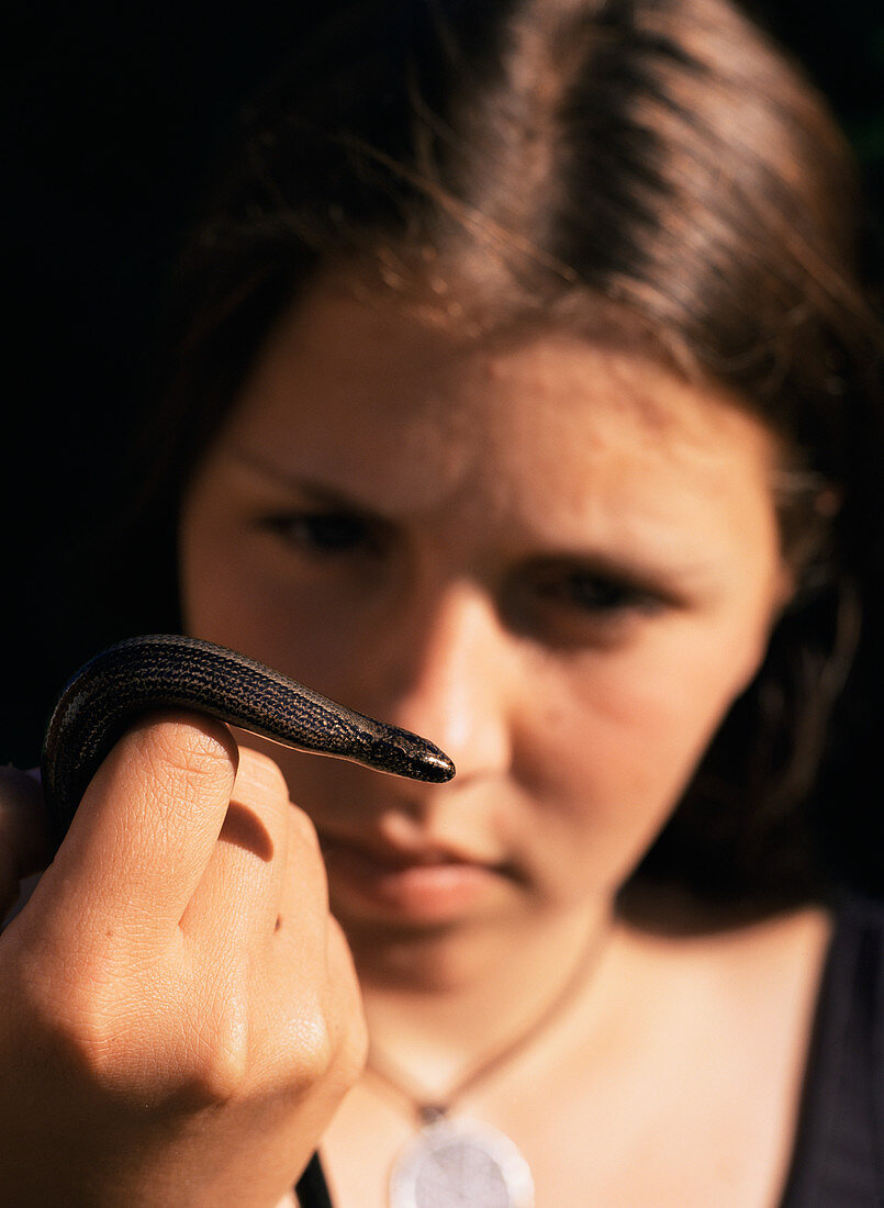 Girl studying a slow worm