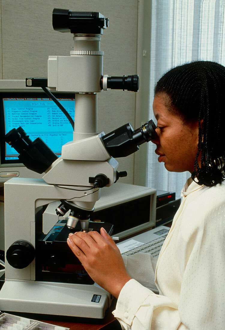 Technician examines a slide under a microscope