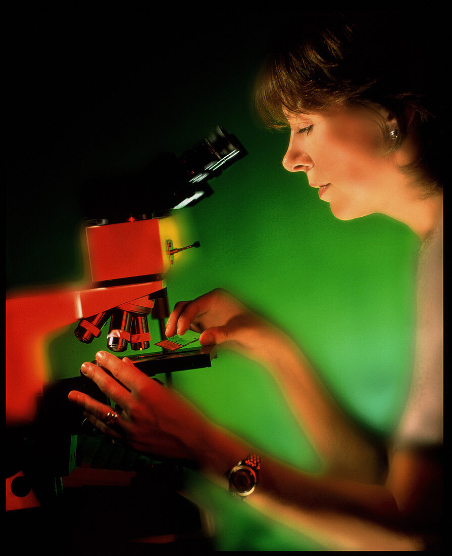 Technician using a binocular light microscope