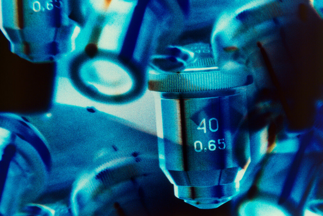 Microscope lenses