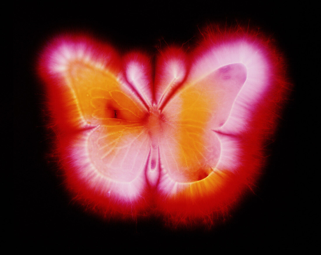 Kirlian photograph of a model of a butterfly
